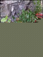 Click image for larger version

Name:	soffre.jpg
Views:	67
Size:	217.7 KB
ID:	15910050