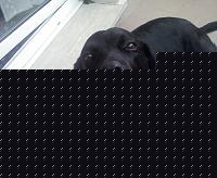Click image for larger version

Name:	Foto0001.jpg
Views:	79
Size:	62.3 KB
ID:	15910067