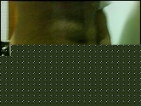 Click image for larger version

Name:	!cid_DSC00298.jpg
Views:	4542
Size:	31.0 KB
ID:	15911612