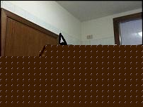 Click image for larger version

Name:	img0129dz.jpg
Views:	101
Size:	10.6 KB
ID:	15911613
