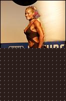 Click image for larger version

Name:	Cat.Miss Shape+30  VI° Estenoza Annick (27).jpg
Views:	65
Size:	74.6 KB
ID:	15911861