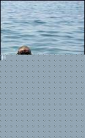 Click image for larger version

Name:	ioo.jpg
Views:	402
Size:	26.4 KB
ID:	15912119