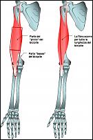 Click image for larger version

Name:	bg018.jpg
Views:	81
Size:	57.5 KB
ID:	15912507