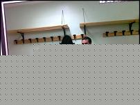 Click image for larger version

Name:	Maccio_1081.jpg
Views:	264
Size:	35.0 KB
ID:	15912807