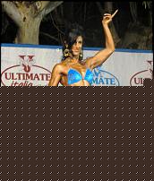 Click image for larger version

Name:	Cat MISS VIÂ°Salesi MarilÃ¹ (8).JPG
Views:	1238
Size:	370.4 KB
ID:	15913059