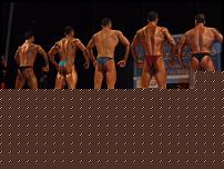 Click image for larger version

Name:	foto cat. HP +175.jpg
Views:	114
Size:	64.6 KB
ID:	15913149