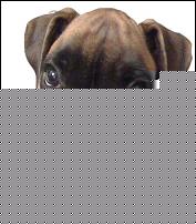 Click image for larger version

Name:	house-copy.jpg
Views:	162
Size:	35.2 KB
ID:	15913602