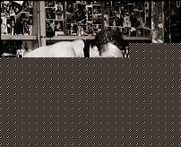 Click image for larger version

Name:	kroc-dips.jpg
Views:	139
Size:	48.6 KB
ID:	15913774