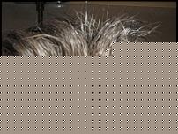 Click image for larger version

Name:	Immagine 010.jpg
Views:	131
Size:	222.9 KB
ID:	15913828