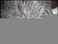 Click image for larger version

Name:	altre 002.jpg
Views:	126
Size:	238.5 KB
ID:	15913830