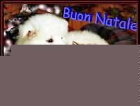 Click image for larger version

Name:	buon_natale[1].jpg
Views:	2153
Size:	40.0 KB
ID:	15914249