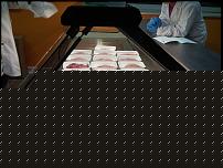 Click image for larger version

Name:	tacchino 15 kg..brutta fine .jpg
Views:	139
Size:	280.3 KB
ID:	15914775