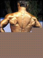 Click image for larger version

Name:	Cat.Over 45 Athletic IÂ°class Buccarella Pasquale (10).jpg
Views:	470
Size:	139.0 KB
ID:	15915090