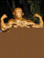 Click image for larger version

Name:	Cat.Over 45 Athletic IIÂ°class Vitolo Felice (3).jpg
Views:	349
Size:	119.7 KB
ID:	15915265
