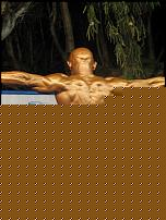 Click image for larger version

Name:	Cat.Over 45 Athletic IIÂ°class Vitolo Felice (4).jpg
Views:	362
Size:	156.5 KB
ID:	15915266