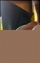 Click image for larger version

Name:	petto1.JPG
Views:	355
Size:	140.4 KB
ID:	15915744