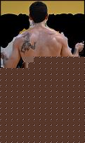 Click image for larger version

Name:	spalle2.jpg
Views:	270
Size:	86.1 KB
ID:	15915859