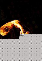 Click image for larger version

Name:	Cat.Miss Shape+30  VIIIÂ° Schmitt Tanja (29).jpg
Views:	235
Size:	111.1 KB
ID:	15918447