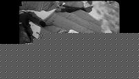 Film.6.jpg