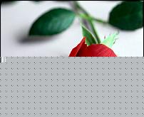 Click image for larger version

Name:	ferragosto.jpg
Views:	332
Size:	51.8 KB
ID:	15919807