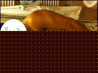 Click image for larger version

Name:	foto.JPG
Views:	123
Size:	35.0 KB
ID:	15921775