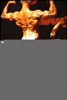 Click image for larger version

Name:	Fgarasera1.jpg
Views:	553
Size:	108.6 KB
ID:	15922267