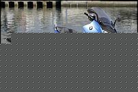 Click image for larger version

Name:	366472_5094_big_image0671.jpg
Views:	105
Size:	72.2 KB
ID:	15923092