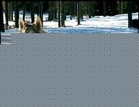Click image for larger version

Name:	indukmw7.jpg
Views:	21795
Size:	65.2 KB
ID:	15923361