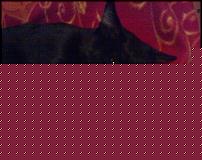 Click image for larger version

Name:	20102010884.jpg
Views:	365
Size:	49.0 KB
ID:	15925927