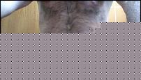 Click image for larger version

Name:	2012-05-02-150820.jpg
Views:	180
Size:	51.9 KB
ID:	15927610