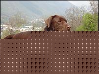 Click image for larger version

Name:	DSC00072_lt.jpg
Views:	246
Size:	454.4 KB
ID:	15927712