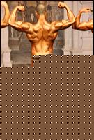 Click image for larger version

Name:	MOnti1.jpg
Views:	694
Size:	125.3 KB
ID:	15930150