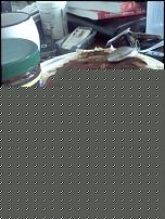 IMG_20120721_094837.jpg