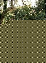 Click image for larger version

Name:	foto.JPG
Views:	197
Size:	104.6 KB
ID:	15932141