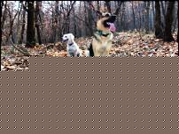 Click image for larger version

Name:	il branco Sangalli.JPG
Views:	126
Size:	303.3 KB
ID:	15932338