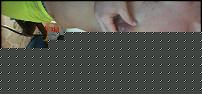 Click image for larger version

Name:	webcam-toy-foto25.jpg
Views:	139
Size:	94.6 KB
ID:	15934109