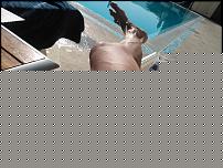 Click image for larger version

Name:	io gamba.jpg
Views:	844
Size:	539.1 KB
ID:	15934530