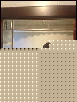 Click image for larger version

Name:	iog5qr.jpg
Views:	361
Size:	169.4 KB
ID:	15935050