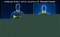 Click image for larger version

Name:	oxyelite-receptores.jpg
Views:	1657
Size:	26.3 KB
ID:	15936148