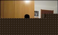 Click image for larger version

Name:	IMG_1776.JPG
Views:	622
Size:	70.0 KB
ID:	15938206