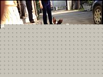 Click image for larger version

Name:	IMG_0994.JPG
Views:	128
Size:	159.8 KB
ID:	15938488