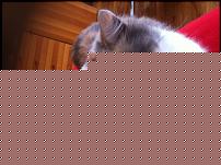 Click image for larger version

Name:	image.jpg
Views:	184
Size:	274.8 KB
ID:	15938536
