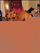 Click image for larger version

Name:	374394_169040156573940_226922567_n.jpg
Views:	90
Size:	74.4 KB
ID:	15938573
