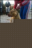 Click image for larger version

Name:	582408_187340644743891_522152909_n.jpg
Views:	95
Size:	102.2 KB
ID:	15938574