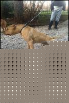 Click image for larger version

Name:	735222_187340668077222_621904068_n.jpg
Views:	100
Size:	128.8 KB
ID:	15938575