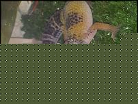 Click image for larger version

Name:	uploadfromtaptalk1360618245840.jpg
Views:	497
Size:	90.7 KB
ID:	15939166