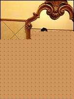Click image for larger version

Name:	image_1362147188824533.jpg
Views:	567
Size:	82.8 KB
ID:	15939542