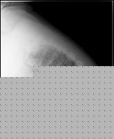 Click image for larger version

Name:	dorsale2013.jpg
Views:	2352
Size:	77.5 KB
ID:	15944356