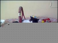 Click image for larger version

Name:	Foto0139.jpg
Views:	244
Size:	54.0 KB
ID:	15953352