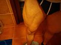 Click image for larger version

Name:	IMG-20140716-WA0062.jpg
Views:	732
Size:	47.1 KB
ID:	15955300